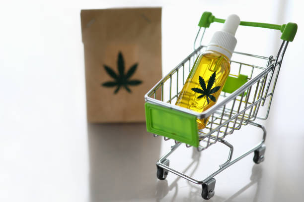 What is the Potential Economic Boost of Cannabis Legalization in Florida?