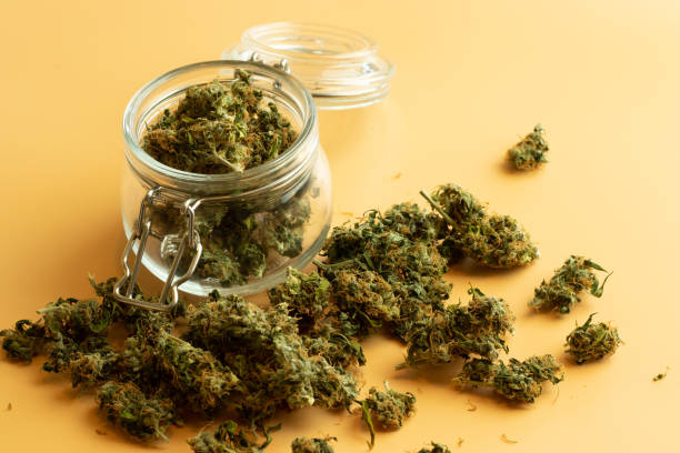 What is the Effect of Cannabis Legalization on Small Businesses in Florida?