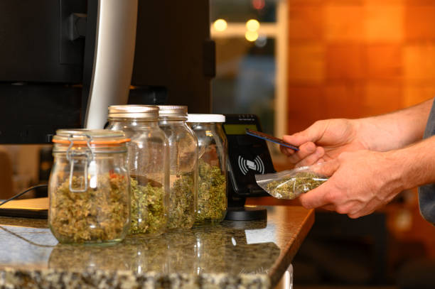 How to Maximize Profits from the Impact of Cannabis Legalization on Florida's Economy
