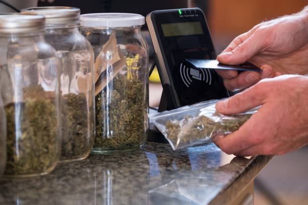 Uncover the Secrets to Success in Florida's Growing Cannabis Industry